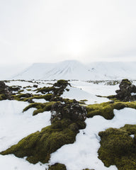 Icelandic Landscape BIOEFFECT
